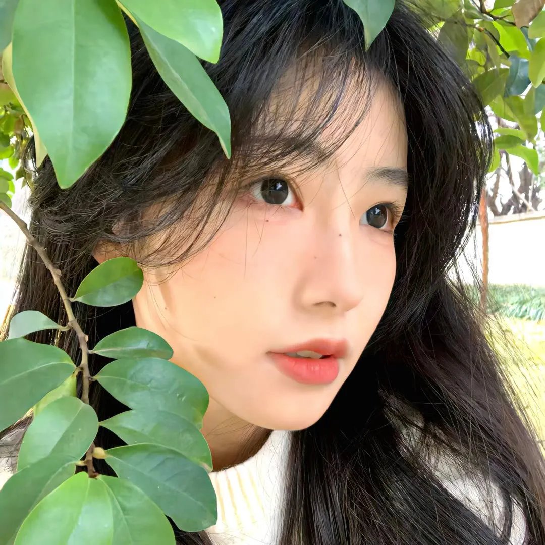 青春残酷挽歌